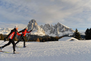 Langlaufen im Hintergrund mit dem Lang- und Plattkofel auf der Seiser Alm