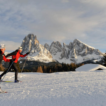 Langlaufen im Hintergrund mit dem Lang- und Plattkofel auf der Seiser Alm