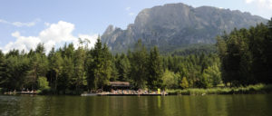 Schwimmen am Völser Weiher